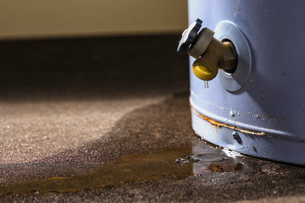 Best Mold removal after water damage  in Centuria, WI