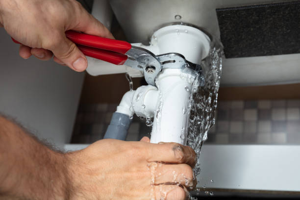 Best Flooded house restoration  in Centuria, WI