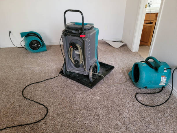 Best Water damage cleanup near me  in Centuria, WI