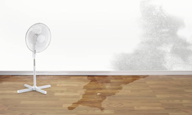 Best Commercial water damage restoration  in Centuria, WI