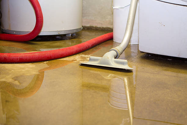 Best Residential water damage restoration  in Centuria, WI