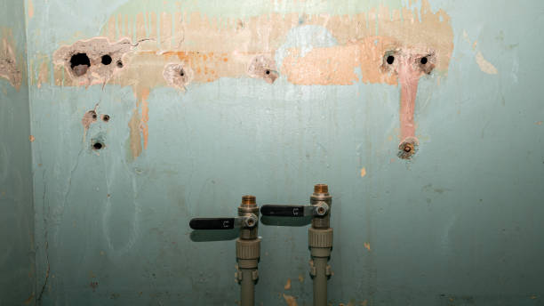 Best Flooded house restoration  in Centuria, WI