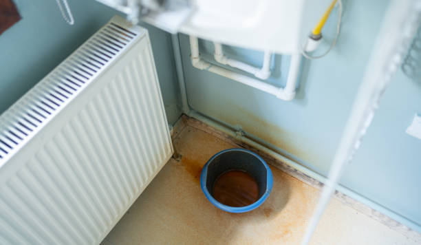 Best Water damage restoration near me  in Centuria, WI