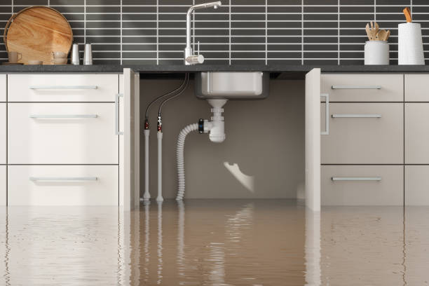 Water damage restoration mold remediation in WI