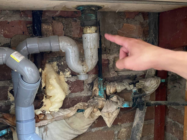 Best Ceiling water damage repair  in Centuria, WI